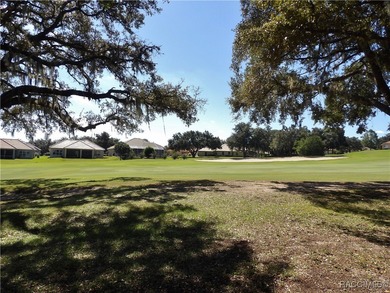 If Living in Terra Vista is your goal, this luxurious golf on Skyview At Terra Vista Golf and Country Club in Florida - for sale on GolfHomes.com, golf home, golf lot