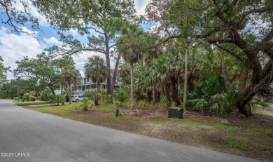 Full house plans and dock permit available! Build your dream on Ocean Creek Golf Course in South Carolina - for sale on GolfHomes.com, golf home, golf lot