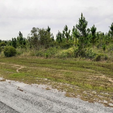 Come build your forever home on this half-acre lot that located on Indian Lake Estates Golf and Country Club in Florida - for sale on GolfHomes.com, golf home, golf lot
