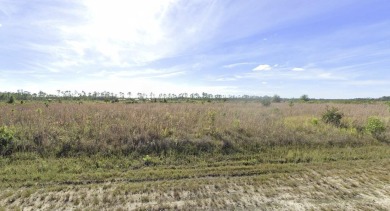 Come build your forever home on this half-acre lot that located on Indian Lake Estates Golf and Country Club in Florida - for sale on GolfHomes.com, golf home, golf lot