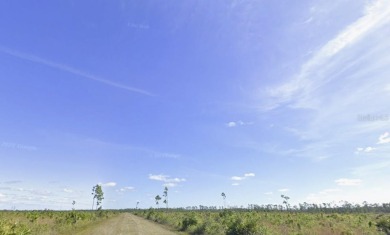 Come build your forever home on this half-acre lot that located on Indian Lake Estates Golf and Country Club in Florida - for sale on GolfHomes.com, golf home, golf lot
