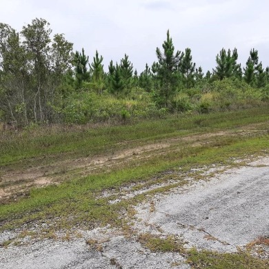 Come build your forever home on this half-acre lot that located on Indian Lake Estates Golf and Country Club in Florida - for sale on GolfHomes.com, golf home, golf lot