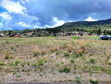 Connie Goodnight, Land Properties, LLC, C: , connie,  : NICE lot on Rio Grande Golf Club in Colorado - for sale on GolfHomes.com, golf home, golf lot