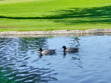 Welcome to Indian Palms Country Club! This 2 bedroom, 2 bathroom on Indian Palms Country Club and Resort in California - for sale on GolfHomes.com, golf home, golf lot