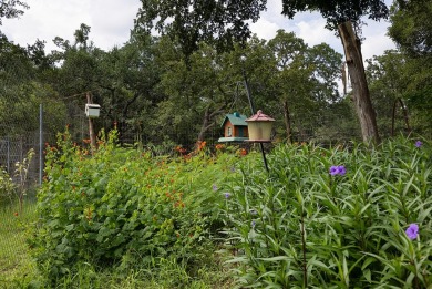 Discover a secluded sanctuary at the end of the road, offering on Rebecca Creek Golf Club in Texas - for sale on GolfHomes.com, golf home, golf lot