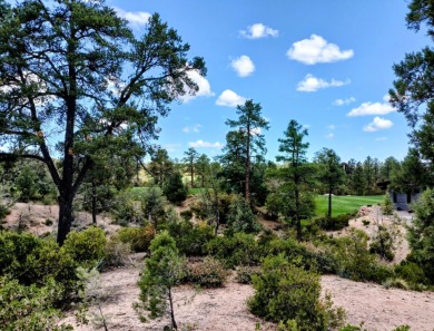 Here's one of Rim Club's Best Build Lots! Great views all around on The Rim Golf Club in Arizona - for sale on GolfHomes.com, golf home, golf lot