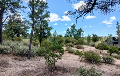 Here's one of Rim Club's Best Build Lots! Great views all around on The Rim Golf Club in Arizona - for sale on GolfHomes.com, golf home, golf lot