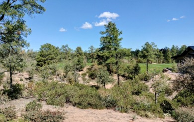 Here's one of Rim Club's Best Build Lots! Great views all around on The Rim Golf Club in Arizona - for sale on GolfHomes.com, golf home, golf lot