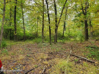 PRICE REDUCED! 3.76 Acre wooded lot for sale, Private yet so on Glen Brook Golf Club in Pennsylvania - for sale on GolfHomes.com, golf home, golf lot