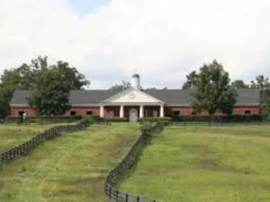 If you are looking for a homesite in a premier Golf/Equestrian on Mount Vintage Plantation & Golf Club - Chester in South Carolina - for sale on GolfHomes.com, golf home, golf lot