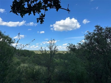 Lot 463 Feather Bay Dr. - King's Point Cove at The Hideout Golf on Hideout Golf Club and Resort  in Texas - for sale on GolfHomes.com, golf home, golf lot