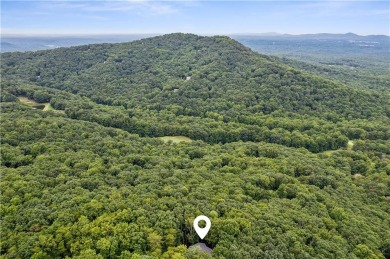 Welcome to The Luxe Bear Retreat in the exclusive Bent Tree on Bent Tree Golf Course in Georgia - for sale on GolfHomes.com, golf home, golf lot