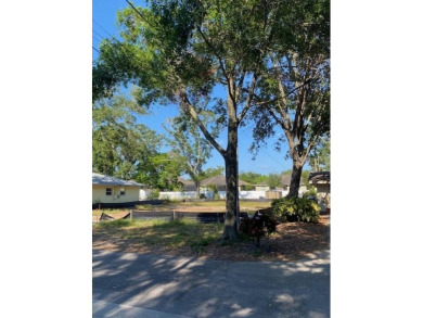 Fantastic Land 60x 136 = 8,160 sqft!! 
Great opportunity to on Belleview Biltmore Golf Club in Florida - for sale on GolfHomes.com, golf home, golf lot