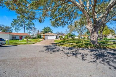 This well-maintained and tastefully updated 2-bedroom on Highland Lakes Executive Golf Course in Florida - for sale on GolfHomes.com, golf home, golf lot