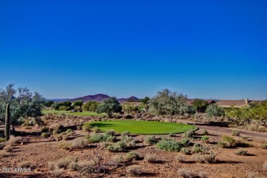 Experience resort-style living in Anthem Golf  Country Club with on Anthem Golf and Country Club  in Arizona - for sale on GolfHomes.com, golf home, golf lot