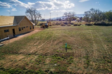 Kathryn Travers, RE/MAX Today, C: , ktravers,  : Great lot to on Cedaredge Golf Course in Colorado - for sale on GolfHomes.com, golf home, golf lot