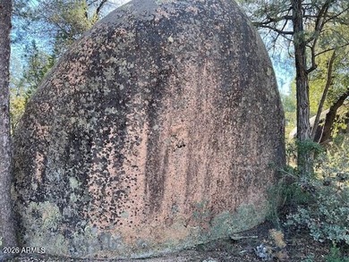 This one-acre golf course home site is located on the fantastic on The Rim Golf Club in Arizona - for sale on GolfHomes.com, golf home, golf lot