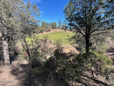 This one-acre golf course home site is located on the fantastic on The Rim Golf Club in Arizona - for sale on GolfHomes.com, golf home, golf lot