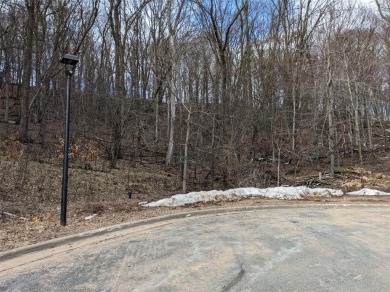 Build your dream home on this gorgeous wooded lot tucked away on on Princeton Valley Golf Course in Wisconsin - for sale on GolfHomes.com, golf home, golf lot
