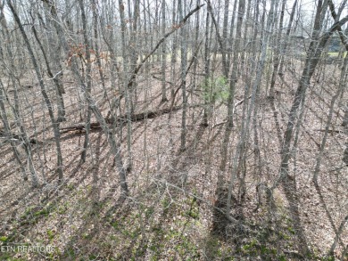 Discover a beautiful level private wooded lot on a paved road in on Lake Tansi Village Country Club in Tennessee - for sale on GolfHomes.com, golf home, golf lot
