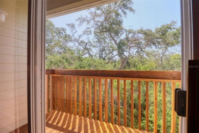 Under contract-accepting backup offers. SELLER OFFERING CREDIT on The Dunedin Country Club in Florida - for sale on GolfHomes.com, golf home, golf lot