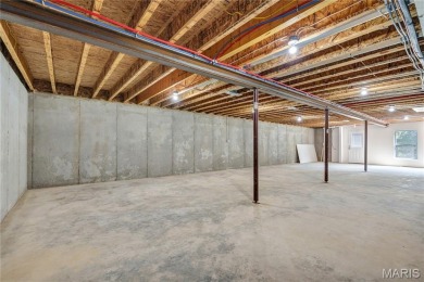 PREMIUM NEW CONSTRUCTION HOME in popular, gated Raintree on Raintree Country Club in Missouri - for sale on GolfHomes.com, golf home, golf lot