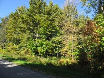 7 lots available in beautiful Baraga Heights Subdivision. Close on Indian Lake Golf and Country Club in Michigan - for sale on GolfHomes.com, golf home, golf lot
