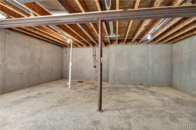 PREMIUM NEW CONSTRUCTION HOME in popular, gated Raintree on Raintree Country Club in Missouri - for sale on GolfHomes.com, golf home, golf lot