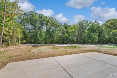 PREMIUM NEW CONSTRUCTION HOME in popular, gated Raintree on Raintree Country Club in Missouri - for sale on GolfHomes.com, golf home, golf lot
