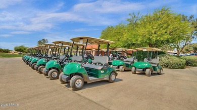 Golf Course Living at Its Finest in The Villages at Queen Creek! on Las Colinas Golf Club in Arizona - for sale on GolfHomes.com, golf home, golf lot