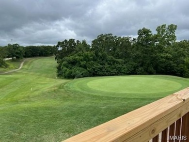 PREMIUM NEW CONSTRUCTION HOME in popular, gated Raintree on Raintree Country Club in Missouri - for sale on GolfHomes.com, golf home, golf lot