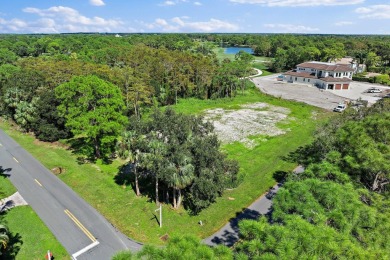 Presenting a remarkable opportunity to acquire a brand-new on Jonathans Landing At Old Trail  in Florida - for sale on GolfHomes.com, golf home, golf lot