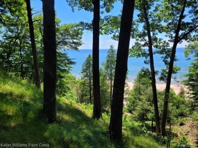 Lake Michigan waterfront, on  1 acreage of land, (right on the on Benona Shores Golf Course in Michigan - for sale on GolfHomes.com, golf home, golf lot