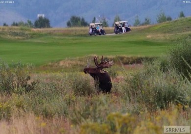 Truly a rare find and affectionately named The Treehouse at on Huntsman Springs Golf Club in Idaho - for sale on GolfHomes.com, golf home, golf lot