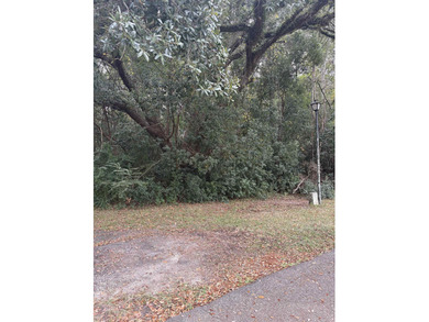 Fabulous price on a vacant and buildable lot within the very on Havana Golf and Country Club in Florida - for sale on GolfHomes.com, golf home, golf lot