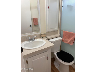 Beautifully updated 1994 park model in Carriage Manor, a premier on Fountain of the Sun Country Club in Arizona - for sale on GolfHomes.com, golf home, golf lot