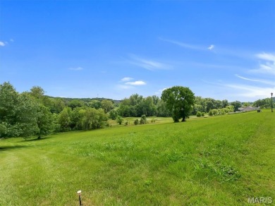 5 bedrooms, 4 bathrooms, 3 fireplaces, 2 stories,1 finished on Birch Creek Golf Club in Missouri - for sale on GolfHomes.com, golf home, golf lot