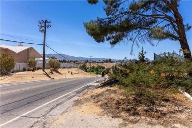 LIVE IN ONE AND RENT THE SECOND UNIT!!   YOU HAVE TO COME TO SEE on Hesperia Golf and Country Club in California - for sale on GolfHomes.com, golf home, golf lot
