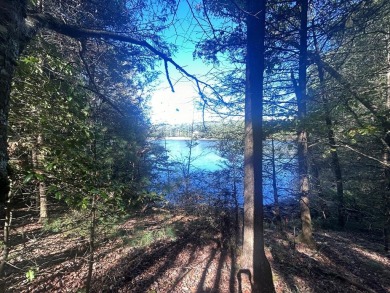 Lake lot - Gently sloping lot that's ready for building. Lot has on Glade Springs Resort Golf Course in West Virginia - for sale on GolfHomes.com, golf home, golf lot