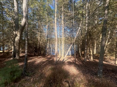 Lake lot - Gently sloping lot that's ready for building. Lot has on Glade Springs Resort Golf Course in West Virginia - for sale on GolfHomes.com, golf home, golf lot