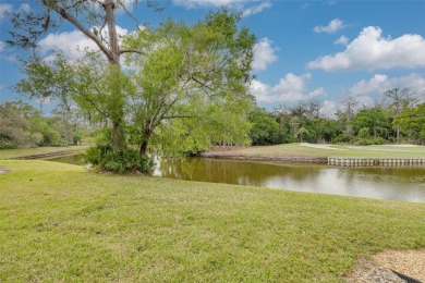 A true breath of fresh Air! Welcome to this exceptionally on East Lake Woodlands Country Club in Florida - for sale on GolfHomes.com, golf home, golf lot