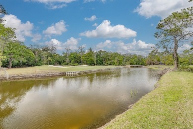 A true breath of fresh Air! Welcome to this exceptionally on East Lake Woodlands Country Club in Florida - for sale on GolfHomes.com, golf home, golf lot