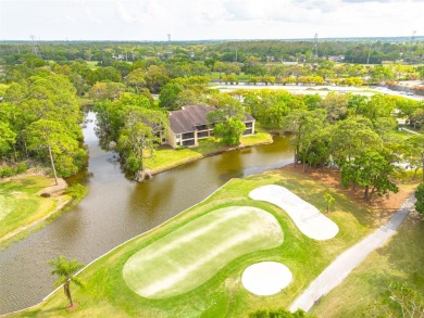 A true breath of fresh Air! Welcome to this exceptionally on East Lake Woodlands Country Club in Florida - for sale on GolfHomes.com, golf home, golf lot