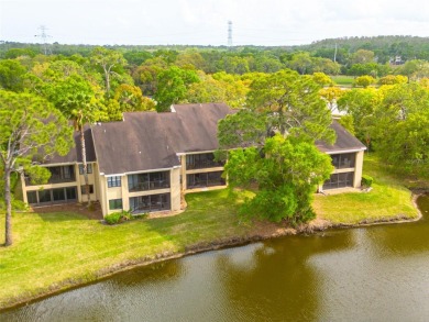 A true breath of fresh Air! Welcome to this exceptionally on East Lake Woodlands Country Club in Florida - for sale on GolfHomes.com, golf home, golf lot
