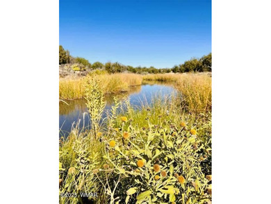 Located in the desirable Eagle Crest neighborhood, this prime on Silver Creek Golf Club in Arizona - for sale on GolfHomes.com, golf home, golf lot