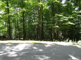 This 3/4 acre building lot is in prestigious Tanglwood Lakes on Paupack Hills Golf and Country Club in Pennsylvania - for sale on GolfHomes.com, golf home, golf lot