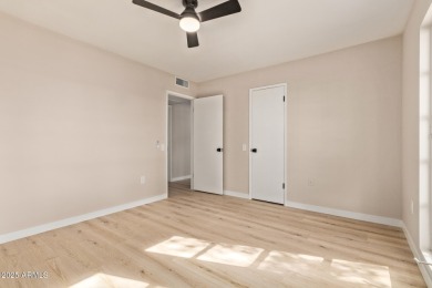 Beautifully Updated Patio Home in Cameo Palms, Sun City!
 on Sun City Lakes West and East in Arizona - for sale on GolfHomes.com, golf home, golf lot