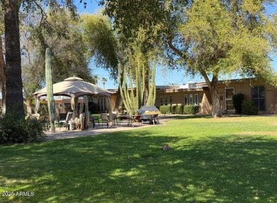 Beautifully Updated Patio Home in Cameo Palms, Sun City!
 on Sun City Lakes West and East in Arizona - for sale on GolfHomes.com, golf home, golf lot