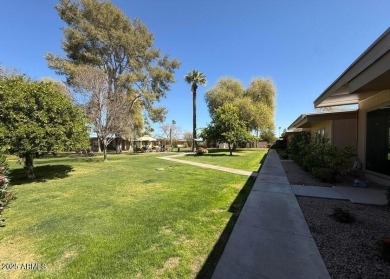 Beautifully Updated Patio Home in Cameo Palms, Sun City!
 on Sun City Lakes West and East in Arizona - for sale on GolfHomes.com, golf home, golf lot