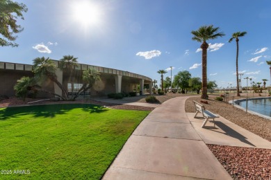 Beautifully Updated Patio Home in Cameo Palms, Sun City!
 on Sun City Lakes West and East in Arizona - for sale on GolfHomes.com, golf home, golf lot